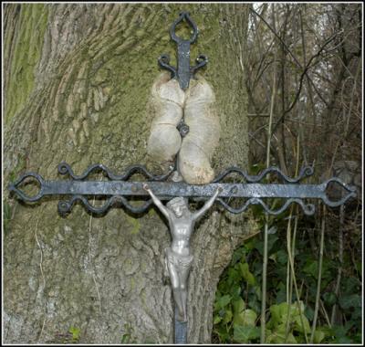 wegkruis in Nuth vergroeid met de boom