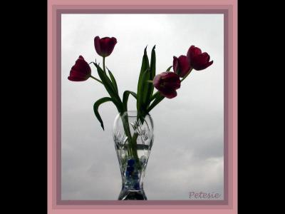 Tulips in a Tulip vase