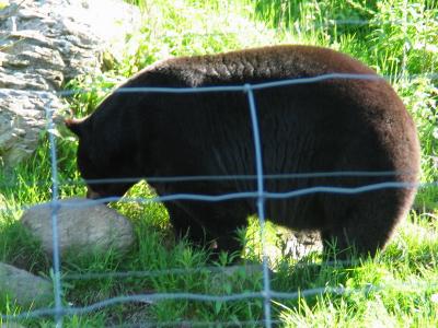 Parc_Omega_4.JPG