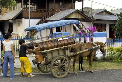 North Sulawesi - Flower Pot Delivery