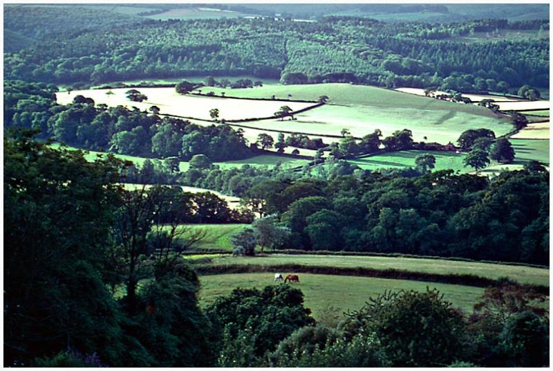 English Countryside