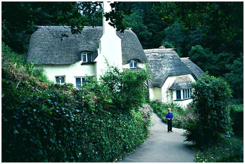 Thatched Roof