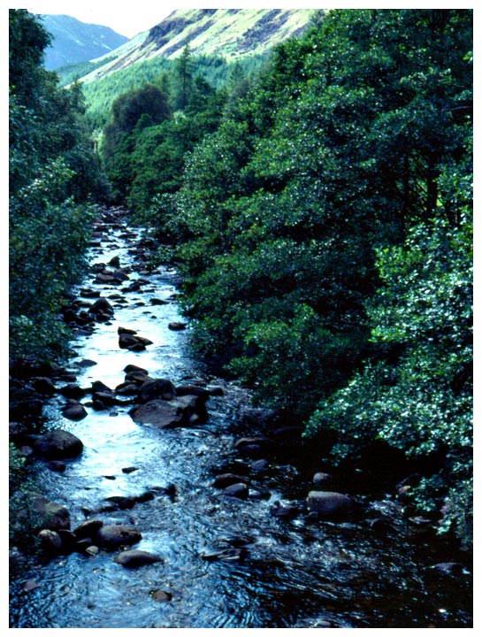 Small River - Lakes District, England 1981