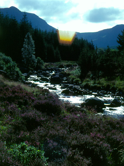 Scottish Glen 1981