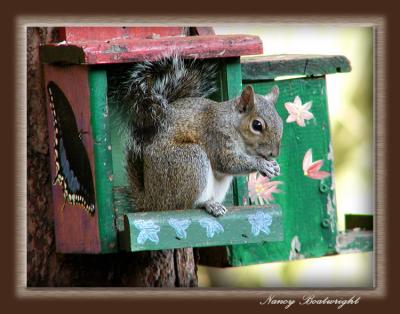 Afternoon Snack time