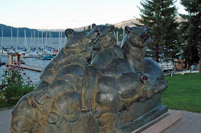 Bears in McCall, on the way to Burgdorf