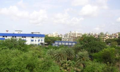 The lush view out the window.  Buildings are discoloured in the distance due to mold on the cement.