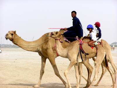 Children Camel Riders (children like this become camel riders after being sold for debt)