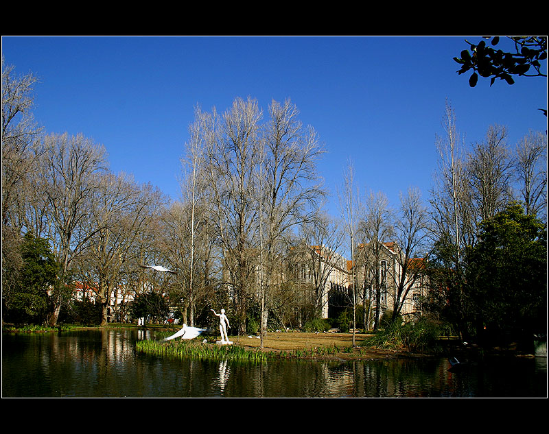 18.02.2005 ... My walks in the park ...