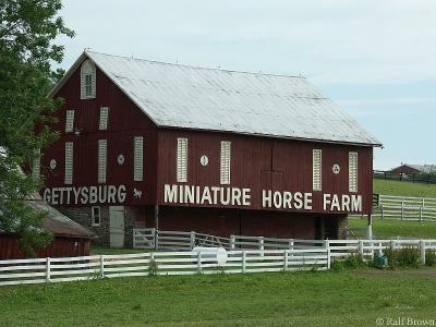 The Gettysburg Miniature Horse Farm