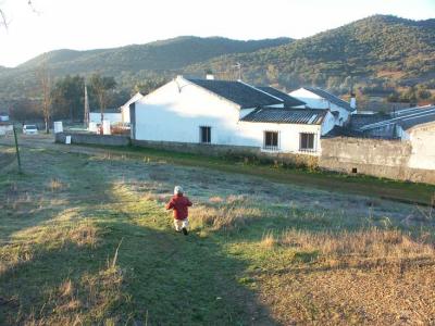 Luis running free at Los Naranjos
