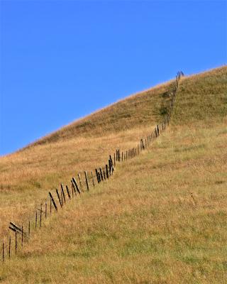 [June 1st] Sonoma County fence