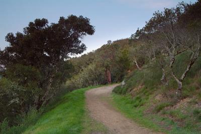 Mount Tam Trails10.jpg