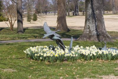 _MG_0629.jpg