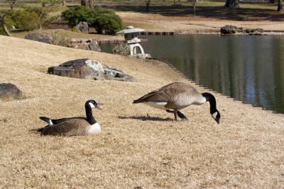 _MG_0645.jpg