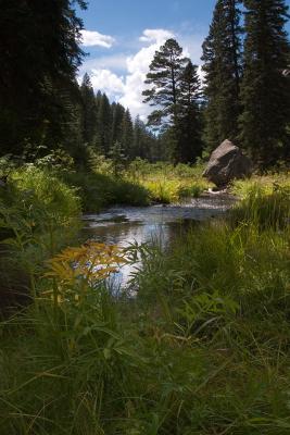 Jemez Mountain Hike