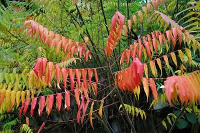 Herbststimmung