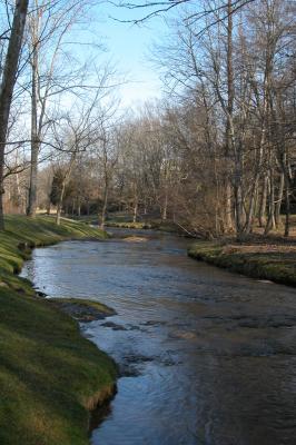 PigeonForgeStream - Tennessee.jpg