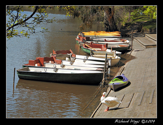Rowing boats