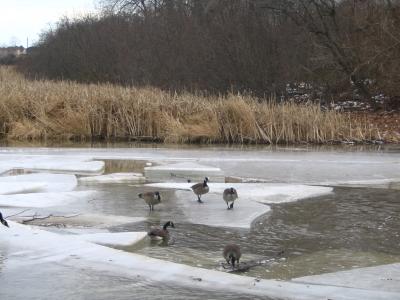 Lynde Shores, Whitby, Ontario, Canada