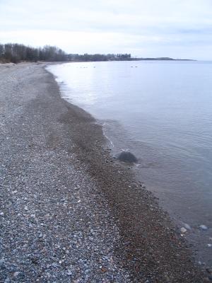 The shore of Lake Ontario