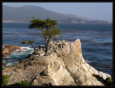 Pacific Coast Highway