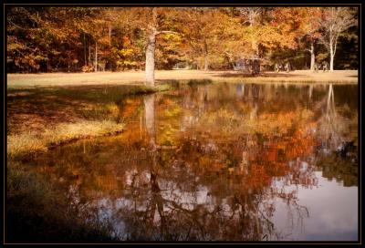 The Bloody Pond DSC_4369.jpg