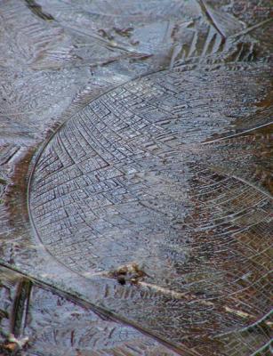 JPG CS Ice P2191185.jpg