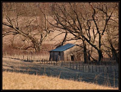 JPG CSB Barn Shed DSC_9829.jpg