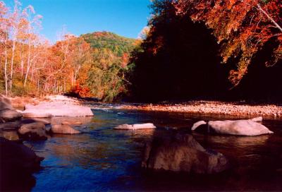 Williams River Connection Autumn 1A TB1204.jpg