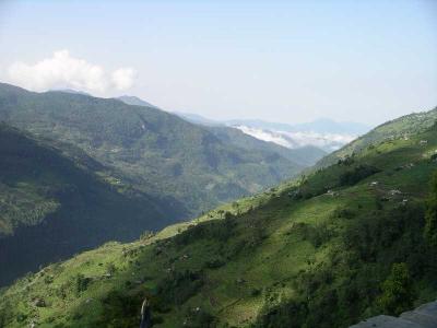 Ghorapani ( Poon Hill ) To Ghandruk - Annapurna N.P.