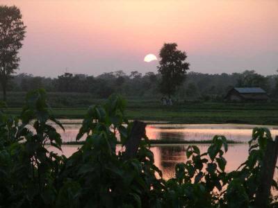 Royal Chitwan N.P. Sunset