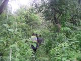 Chitwan- Jungle Trek