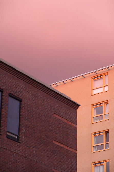 Red, yellow, pink