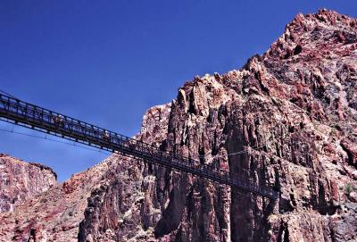 Mules crossing foot bridge over the Colorado River