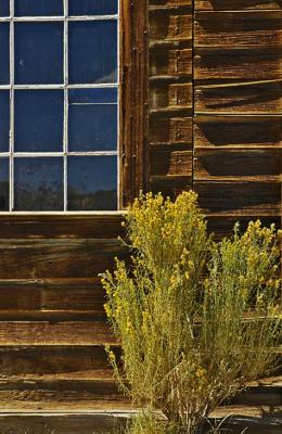 Window and wood planks