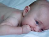 Aug_14_04 010.jpg