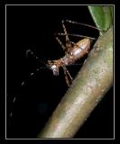 aCRW_6219.jpg