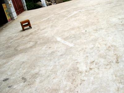 erDSCN5458.jpg