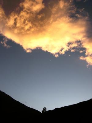 erDSCN5996.jpg