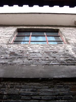 erDSCN6011.jpg