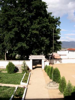 erDSCN6235.jpg