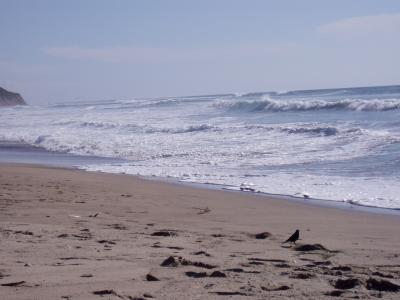 Pacific Coast