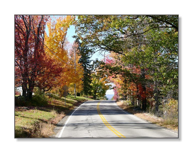 Roadside ColorDeering, NH