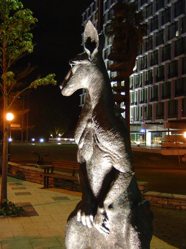 Urban Kangaroo