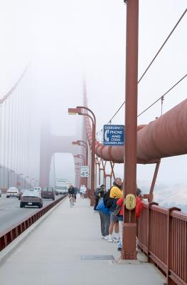 u46/sfbay_sail/medium/4357977.134TallShipParade.jpg