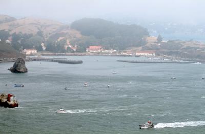 u46/sfbay_sail/medium/4357978.135TallShipParade.jpg