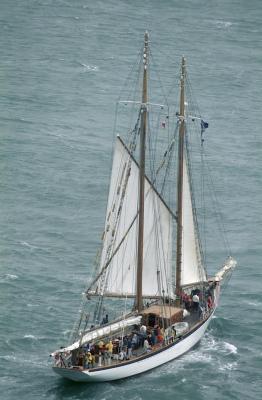 u46/sfbay_sail/medium/4358013.230TallShipParade.jpg