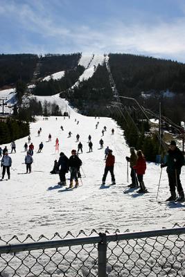 View of ski slopes from bottom