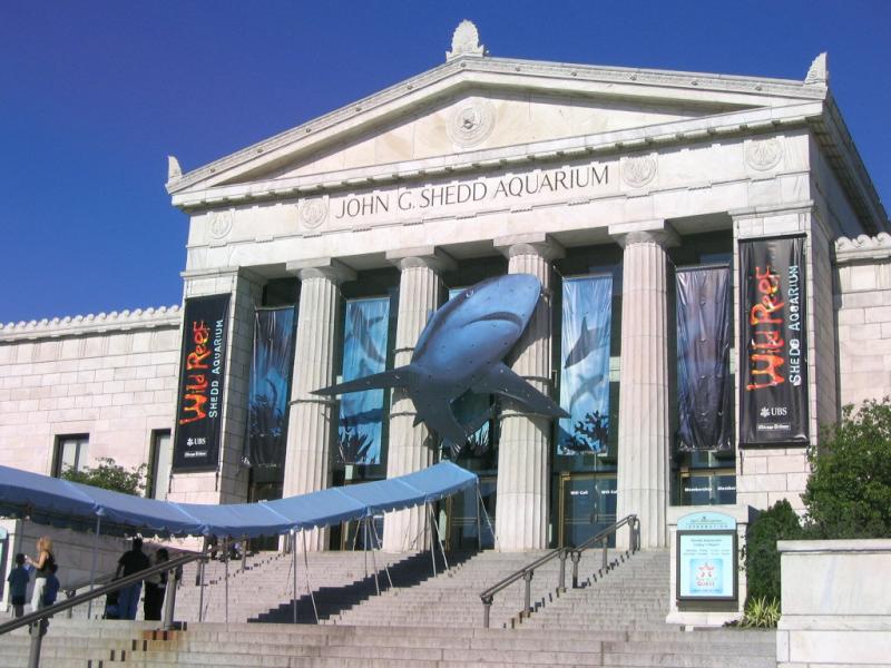 Shedd Aquarium